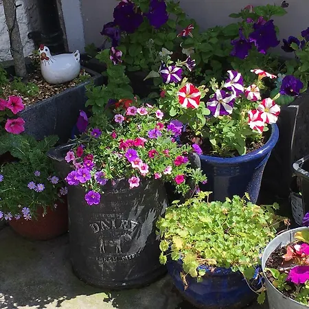 Gasthof Birchleigh Grange-over-Sands